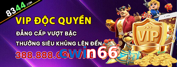 cwin66