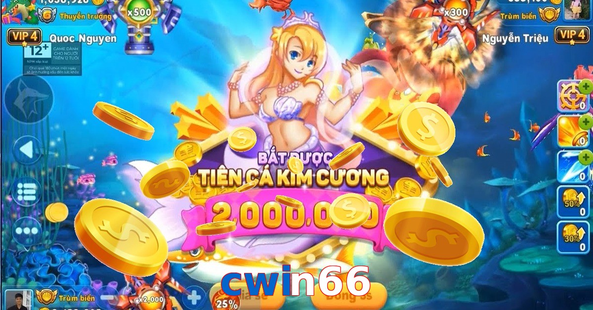 cwin66